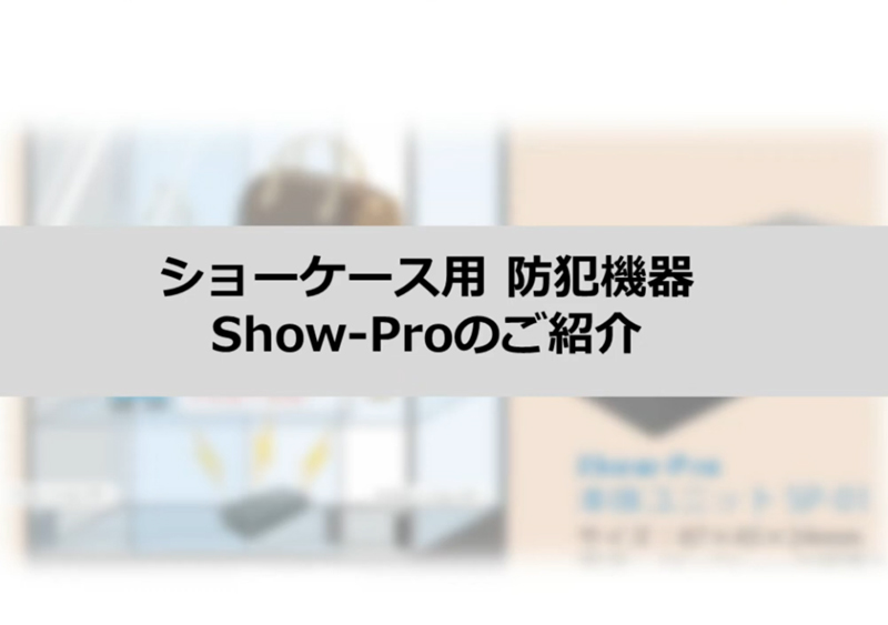 SHOW-PRO SISTEMAS DE SEGURIDAD PARA MANTERACIONES